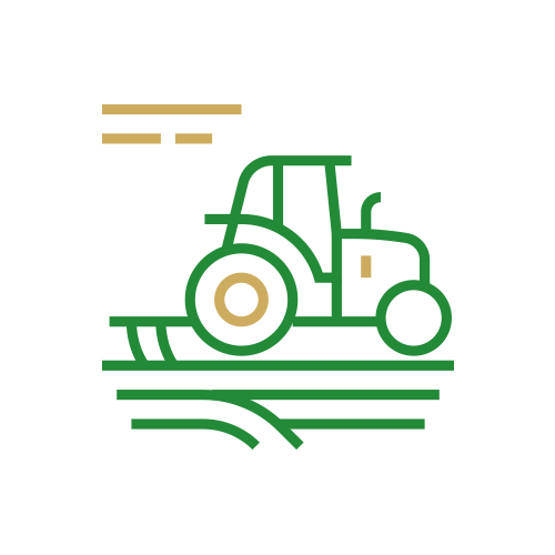 Large-Scale Farmers